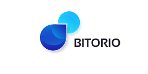 Bitorio IT Services